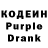 Codein Purple Drank Alexey Kostrikin